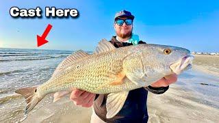 Winter SURF FISHING for SLOT REDFISH! (Catch, Clean, Cook)