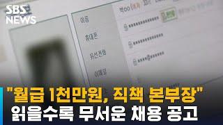 "월급 1천만원, 직책 본부장" 읽을수록 무서운 채용 공고 / SBS / 오클릭