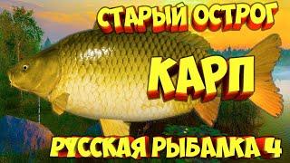 русская рыбалка 4 - Карп озеро Старый Острог - рр4 фарм Алексей Майоров russian fishing 4