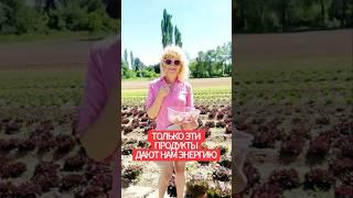 какие продукты заряжены энергией и дают бодрость?