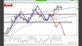 Wayne McDonell: Live Forex Strategy Session - Fundamental and Technical Analysis