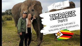 ZIMBABWE : WE WALKED WITH AFRICAN ELEPHANTS || Antelope Park in Zimbabwe.