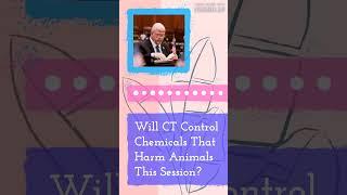 Will CT Control Chemicals That Harm Animals This Session? | The Lisa Wexler Show