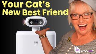 HHOLOVE O Sitter, The First Smart Companion AI Robot For Cats - We Reviewed It!