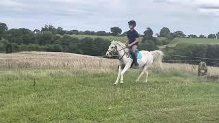 Snowball farm ride