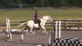 Andy Leigh jumping Aria at Snowball Farm Equestrian Centre with TakeBackTheReins