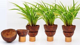 Best planter ideas using coconut shells//indoor planter ideas//plant pots ideas