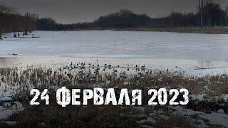 24 февраля, год ВОЙНЫ, а в Покровске ВСЕ ХОРОШО! ДОНЕЦКАЯ ОБЛАСТЬ. ПОКРОВСК НА 24.02.23 СИТУАЦИЯ