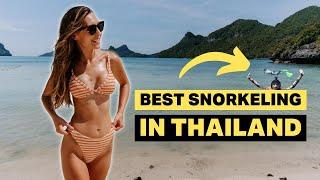 KOH SAMUI Adventure! You've got to do this!  ISLAND TOUR