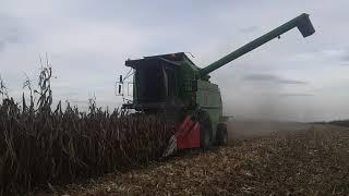 Vršidba kukuruz 2021 - Deutz fahr 4075 & Oros hsa 5 redi  // Corn harvest  //