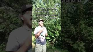 Розробка крафтових бізнес планів #бізнесплан