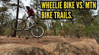 What are these Wheelie bikes good for?  Bike life meets MTB