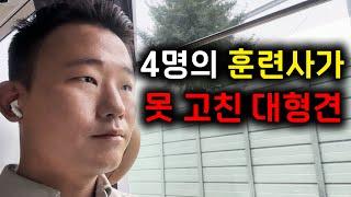 짖음으로 인한 층간소음으로 민원을 받게 만든 “고음왕” 셔틀랜드 쉽독 | 강아지 문제 행동교정 | 댕쪽이상담소