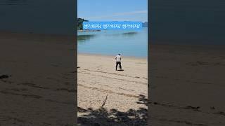 "투망 던지기 유튜브 독학" 자기주도 학습! #shorts #귀여운녀석들 #투망배우기 #투망연습