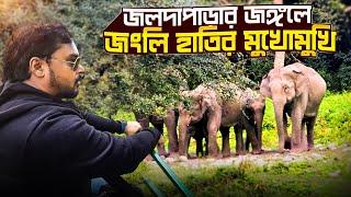 জলদাপাড়ায় জংলি হাতির মুখোমুখি | Jaldapara National Park | Jaldapara Safari | Dooars Jaldapara