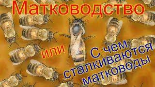 Матководство или С чем сталкиваются матководы