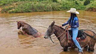 A CARREIRA FOI GRANDE! GARANHÃO BANHA NA REPRESA PARA NÃO M0RRER DE CALOR 