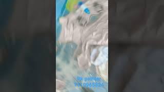 room paint top ganagnagar me #painting #paint #reels #shorts