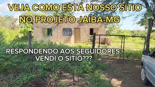 NOSSO SÍTIO NO PROJETO JAÍBA. VOU VENDER O SÍTIO???