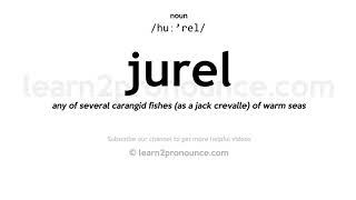 Pronunciation of Jurel | Definition of Jurel