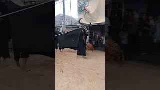 BANTENGAN KUCUR JOYO