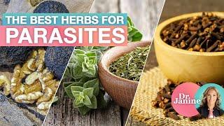 The Best Herbs for Parasites | Dr. Janine