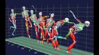 Biomechanical analysis