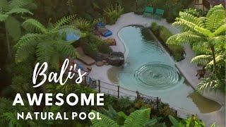 Bali's Amazing Natural Swimming Pool (2nd Video, 2021)