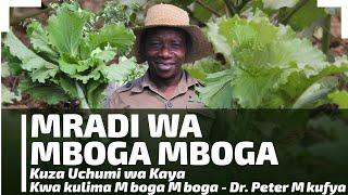 MRADI WA MBOGA MBOGA-KUZA UCHUMI WA KAYA KWA KULIMA MBOGA MBOGA-DR. PETER MKUFYA