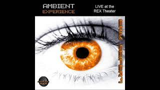 Erik Seifert - Ambient Experience - Live At The Rex Theater (2011) AMBIENT. ELECTRONICA