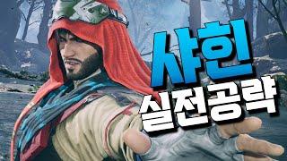 [철권8] 샤힌 실전강의! 대회 우승캐릭 성능은!? #tekken8 Shaheen