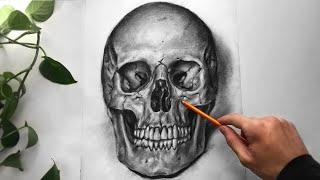 ASMR - Drawing a Human Skull with Charcoal - No Talking