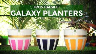 TrustBasket Galaxy Planter (Set of 3) | Premium Quality | Best Decorative Planters