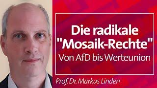 Die radikale "Mosaik-Rechte": Von AfD bis Werteunion - Prof. Dr. Markus Linden, 05.02.2024