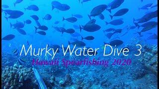 murky water dive 3 | Hawaii Spearfishing 2020 | Shooting Fish For Friends