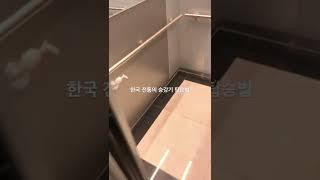 한국 전통방식 승강기 탑승법#shorts#엘르베이터#한국인
