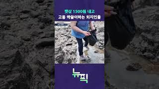 관광객 급증으로 몸살 #뉴픽
