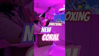 Unboxing New Coral #coralreeftank #saltwateraquarium #aquarium #coralreef #reeftank #fishtank #fyp