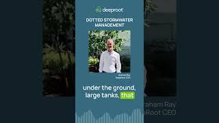 DeepRoot CEO Graham Ray Discusses Benefits of Dotted Stormwater Management