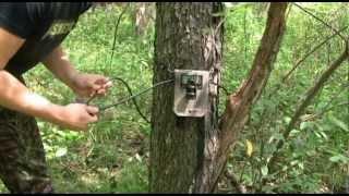 How to set up a trail camera/Trail Camera Setup