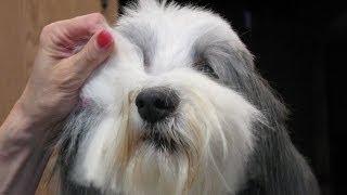 Master Grooming Tools
