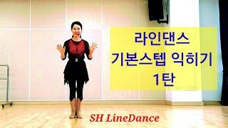 라인댄스 기본스텝 익히기 1탄 / 처음 시작하는 분들을 위한 스텝익히기 / SH_LineDance