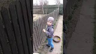 Недільний влог️‍.Свіжа зелень.Поїздка в село.