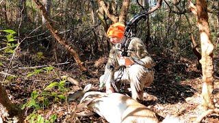 MATURE ALABAMA DOE from the GROUND! (Self-Filmed Bow Hunt)