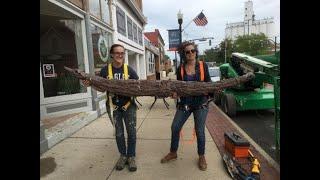 Careers in Preservation: Lindsay Jones, Blind Eye Restoration - Restoration Contractor