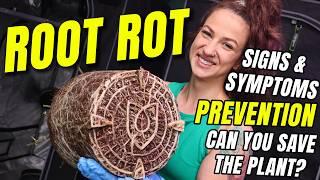 Root Rot! Signs, Prevention and Treatment.