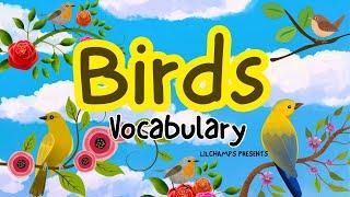 Birds Names | Birds Vocabulary | Learn Birds Name for Kids | Birds Name in English
