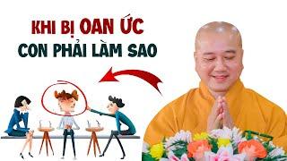 Nếu bị OAN ỨC con phải làm sao - Thầy Thích Pháp Hòa