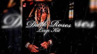 [FREE] Lil Durk Loop Kit "Dark Roses" | Rod Wave, Polo G, Melodic, Toosii | Free Pain Loops 2023