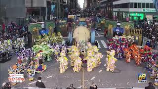 Quaker City String Band 2025 Judges Stand Performance